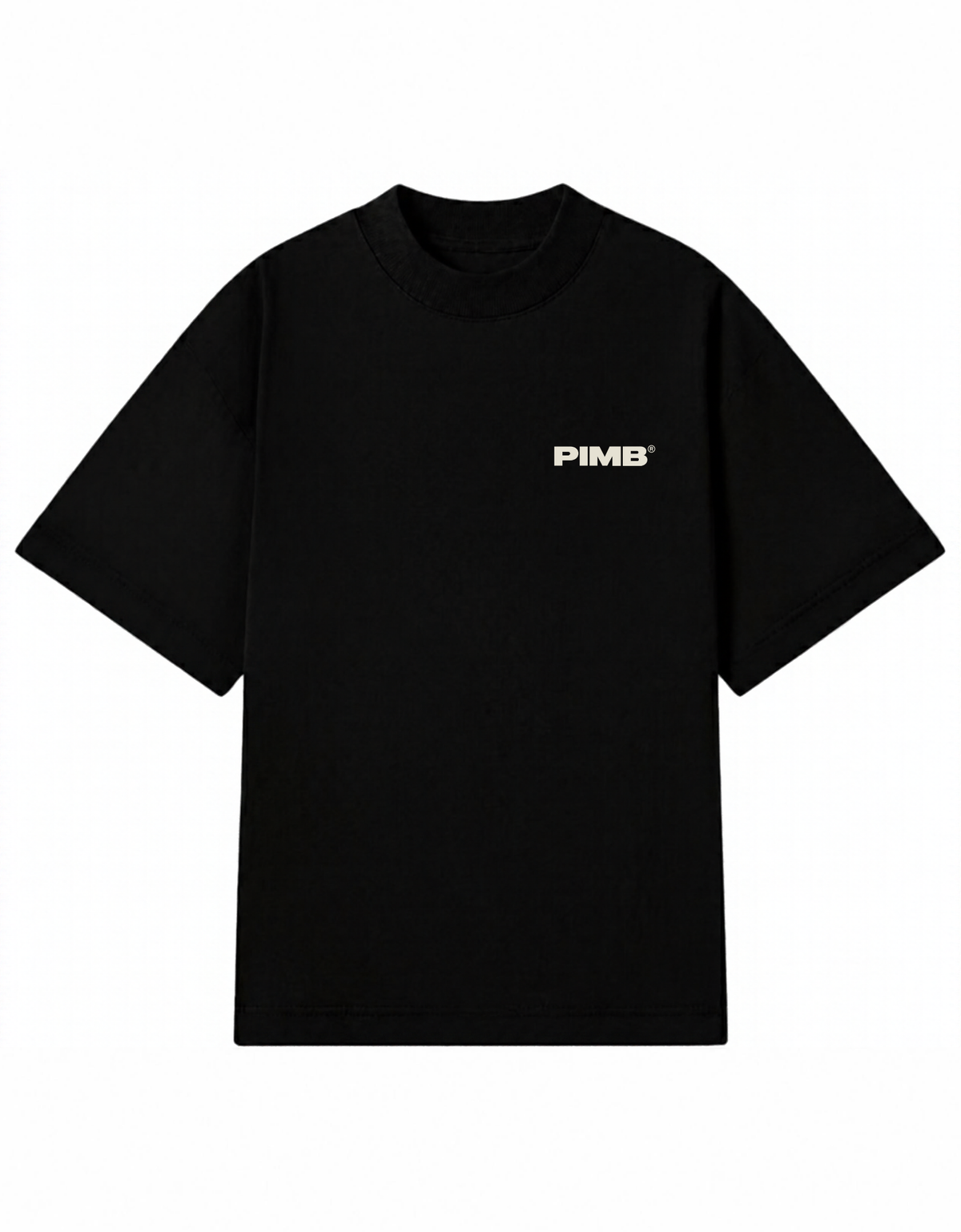 CAMISETA IRON OVERSIZED PIMB SLICE CULTURE