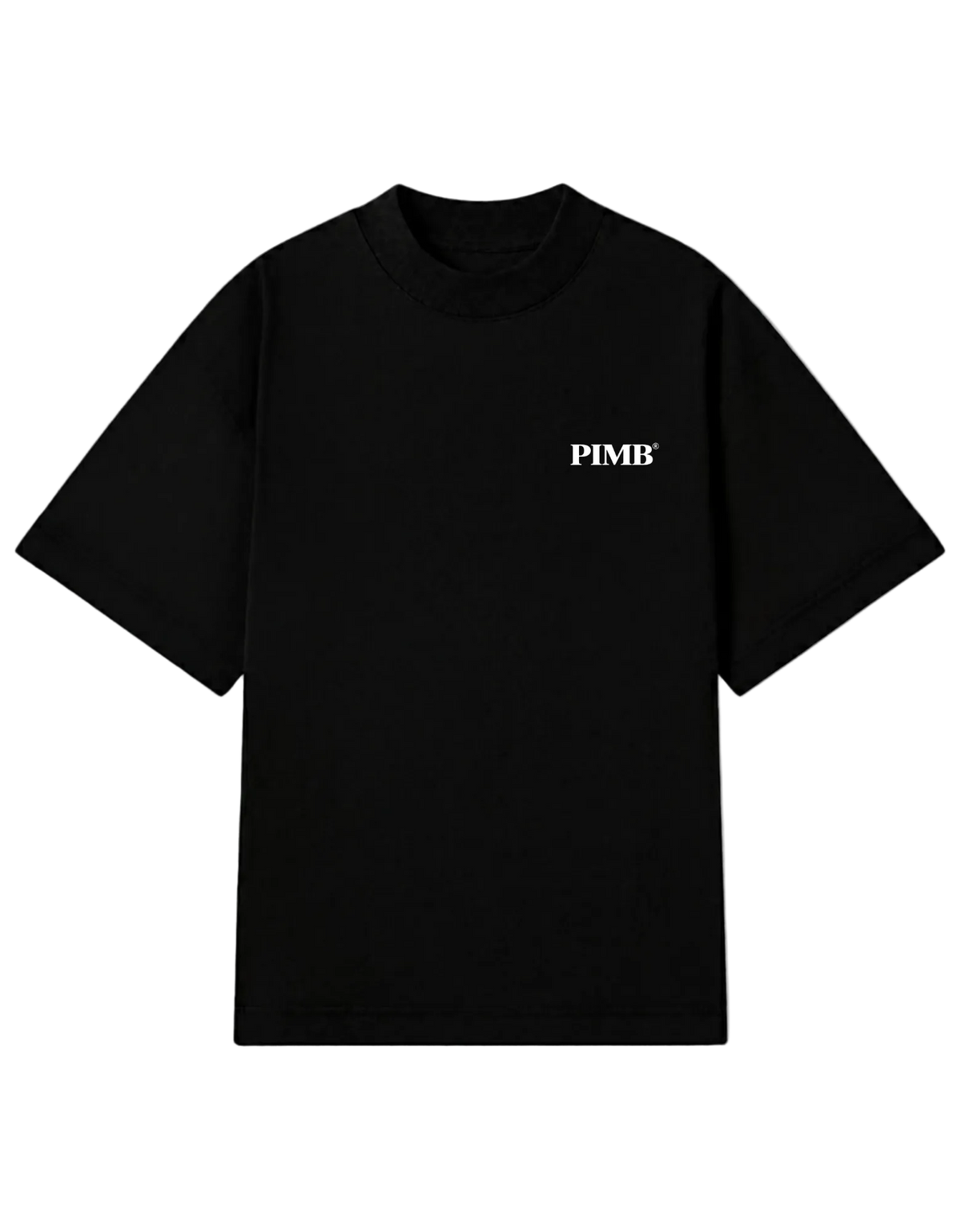 CAMISETA IRON OVERSIZED ELEMENTS 1889