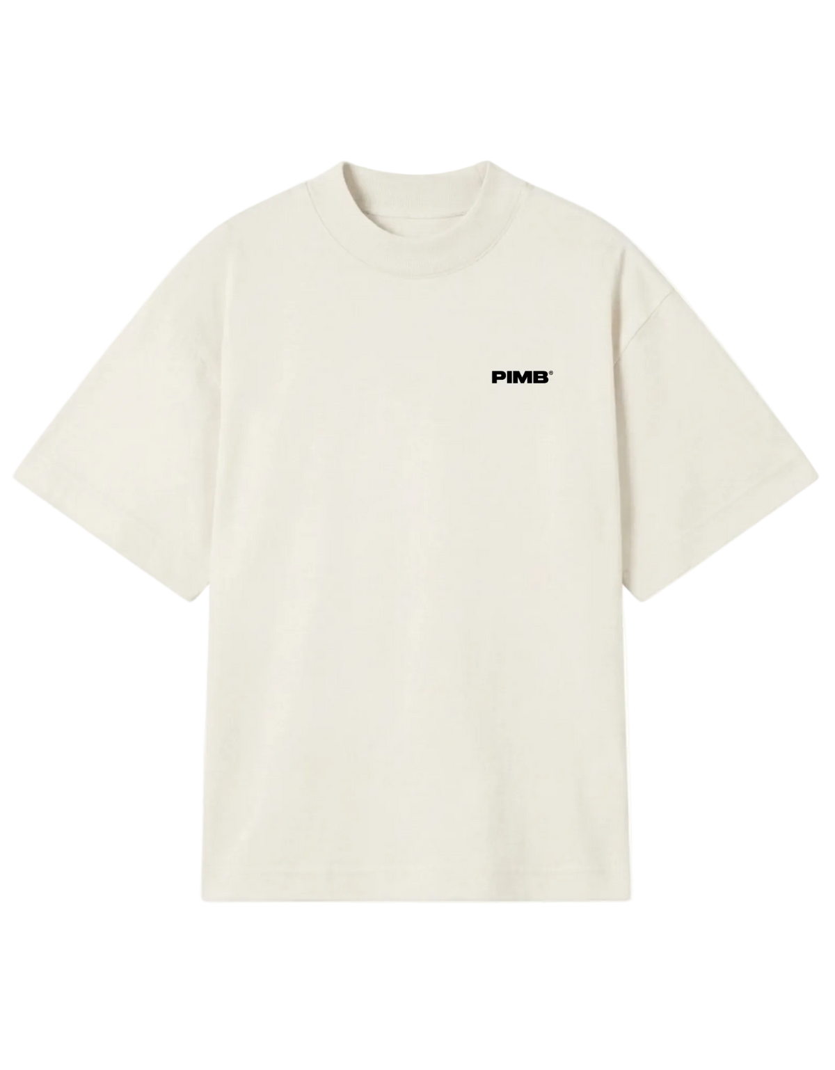 CAMISETA IRON OVERSIZED ELEMENTS MARGHERITA COLORS