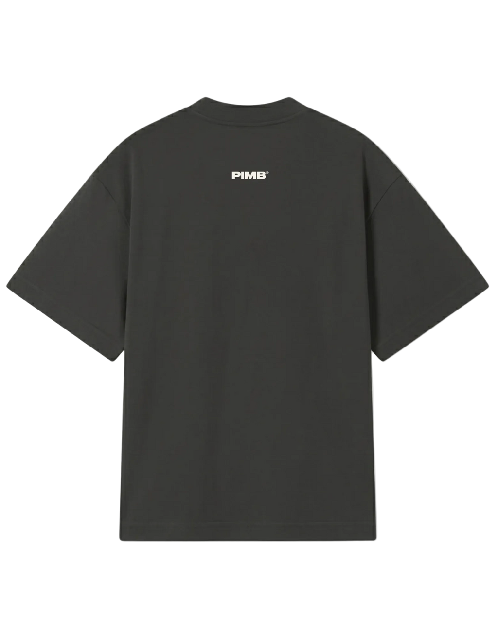 CAMISETA IRON OVERSIZED LOGO PIMB